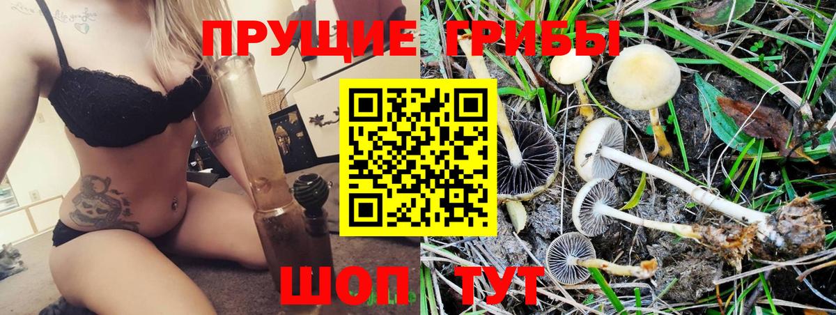 Галлюциногенные грибы прущие грибы Когалым